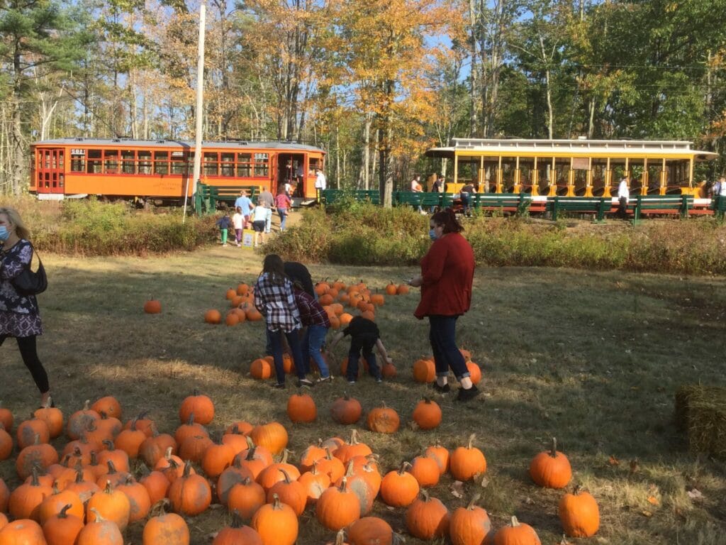 A family selects pumpkins at Seashore Trolley Museum's pumpkin patch
